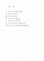 IPTV에 대하여... 2페이지