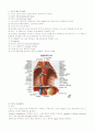 식도암 (esophageal cancer) 문헌고찰 2페이지