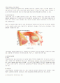 유방암 (breast cancer) 문헌고찰 3페이지