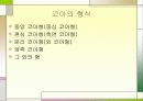 건물 형상에 따른 역학적 특성 19페이지