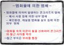 염화물 함유량시험 3페이지