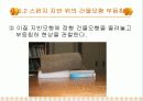 힘의작용(건축구조) 24페이지