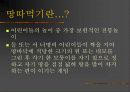 땅따먹기 3페이지