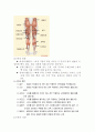 근육심리학에대해서 5페이지