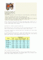 가정폭력에 대해 5페이지