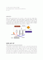 [공학기술]scanning probe microscopy (SPM) 4페이지