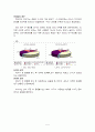 [소비자행동론]차음료시장 분석 및 소비자선호도에 관한 조사(A+리포트) 10페이지