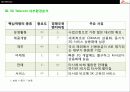 SK Telecom의 경영전략분석 30페이지