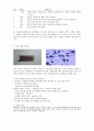 정액검사  2페이지