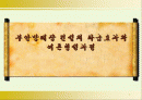 부안방폐장 건설의 파급효과와 여론형성과정 1페이지