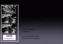 삼성화재 주택화재보험 홍보 PPT 15페이지