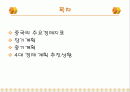 중국의 경제계획 2페이지