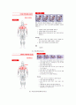 프리웨이트를 이용한 웨이트 트레이닝 방법 10페이지
