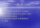 목포시 진로주정공장 설치반대운동(목포우수시민참여사례A+) 2페이지