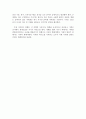 한국기업의 추월전략-레스터 써로우 4페이지