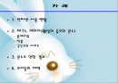 정보사회의 이해-테크노레이지 : 웹상의 증오와 분노 2페이지