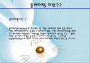 정보사회의 이해-테크노레이지 : 웹상의 증오와 분노 7페이지