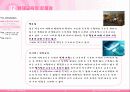 중소기업 교육훈련(기업:룩옥틱스) 11페이지