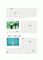 Show 광고분석 - 소비자 기억에 미치는 영향 3페이지