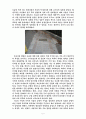 N서울타워와 남산을 다녀와서 2페이지