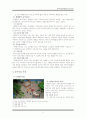 놀이치료 (아동을 중심으로ㅖ 7페이지