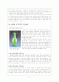 실크로드(Silk Road)와 동서 문화교류 17페이지