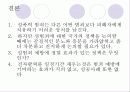 성범죄자 전자팔찌(발찌)착용에 대해 15페이지