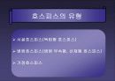 (의료복지) 의료사회사업과 호스피스에 대하여 11페이지