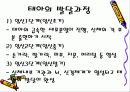 (인간행동--인간의 성장과 발달) 태내기와 영아기 4페이지