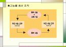 (경영) 기업 조직 혁신 : 사람 중심적 기업조직(유한 킴벌리 조직 운영 조사 ) 8페이지