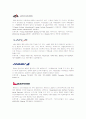 Air Alliance에 관한 조사 8페이지