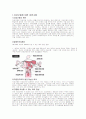 자궁근종케이스스터디 2페이지
