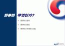 한류 지속화 전략 3페이지
