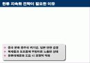 한류 지속화 전략 19페이지