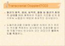 신경계특수진단검사 31페이지