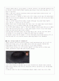 영화 트루먼쇼의 미디어적 비판 2페이지