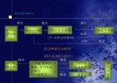 (해운) 운송 주선인( frieght fowarder) 19페이지