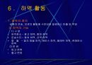 물류에 대하여  발표 프리젠테이션 자료 22페이지