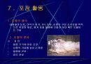 물류에 대하여  발표 프리젠테이션 자료 24페이지