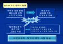 반값아파트 정책 실패에 관하여 8페이지