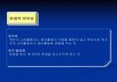 반값아파트 정책 실패에 관하여 14페이지