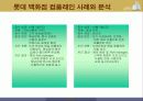 롯데백화점 CRM마케팅사례분석 16페이지