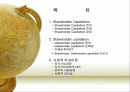 Shareholder Capitalism과 Stakeholder  Capitalism의 비교 2페이지
