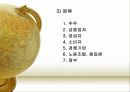 Shareholder Capitalism과 Stakeholder  Capitalism의 비교 8페이지