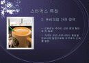 스타벅스와 민토 비교 분석 7페이지