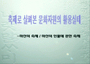 [역사문화]지역축제로 살펴 본 문화자원 활용실태 1페이지