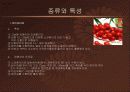 방울토마토의 활용  6페이지
