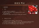 방울토마토의 활용  7페이지