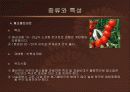 방울토마토의 활용  9페이지