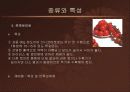 방울토마토의 활용  10페이지